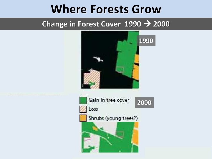 Where Forests Grow Change in Forest Cover 1990 2000 1990 not forest 1990 FO