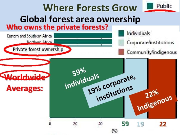 Where Forests Grow Global forest area ownership Who owns the private forests? Worldwide Averages: