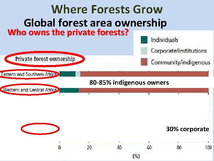 Where Forests Grow Global forest area ownership Who owns the private forests? 80 -85%