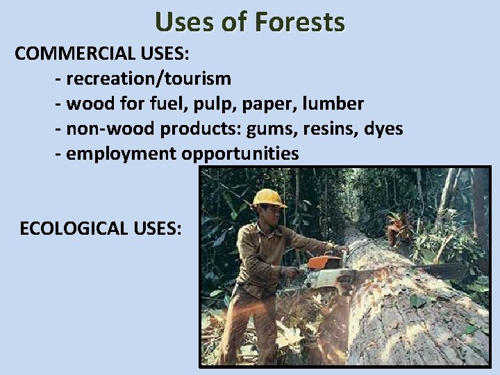 Uses of Forests COMMERCIAL USES: - recreation/tourism - wood for fuel, pulp, paper, lumber