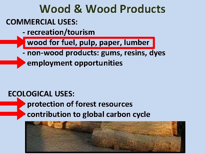 Wood Uses & Wood of Forests Products COMMERCIAL USES: - recreation/tourism - wood for