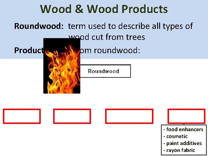 Wood & Wood Products Roundwood: term used to describe all types of wood cut