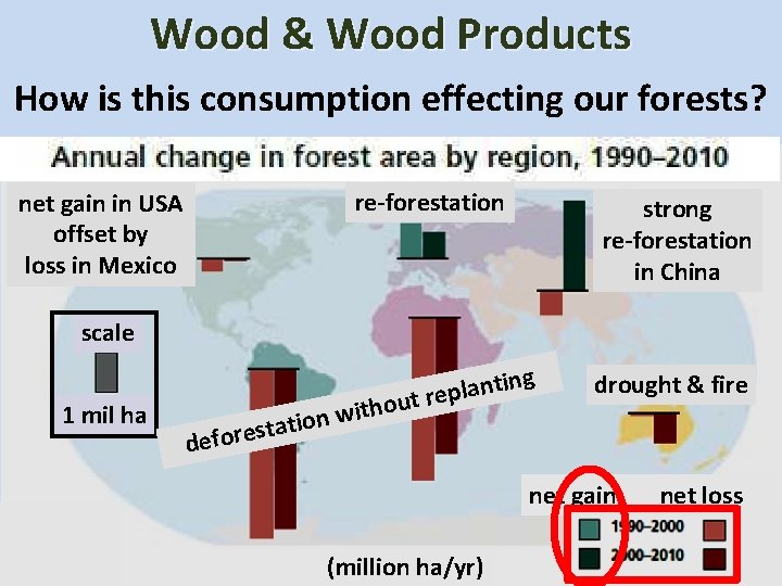 Wood & Wood Products How is this consumption effecting our forests? re-forestation net gain