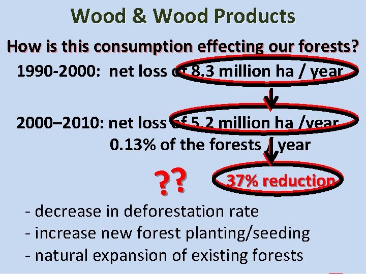 Wood & Wood Products How is this consumption effecting our forests? 1990 -2000: net