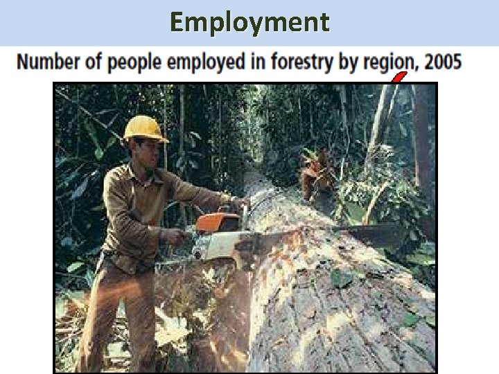 Wood & Wood Products Uses Employment of Forests COMMERCIAL USES: How is this consumption