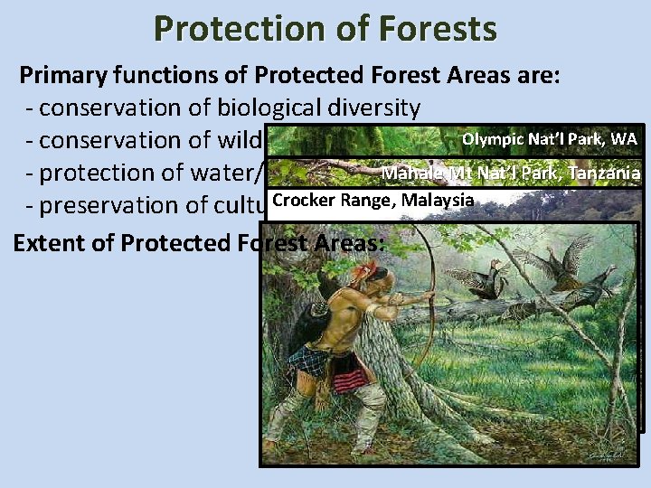 Protection of Forests Primary functions of Protected Forest Areas are: - conservation of biological