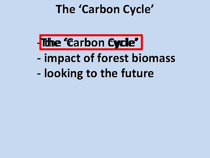 Future The ‘Carbon of Our Cycle’ Forests -The the ‘Carbon ‘carbon cycle’ Cycle’ -