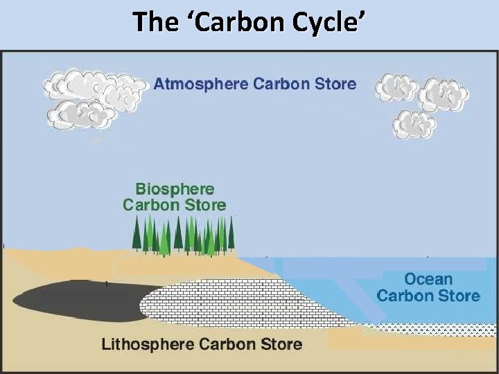 The ‘Carbon Cycle’ - amount of carbon on earth is essentially constant - carbon