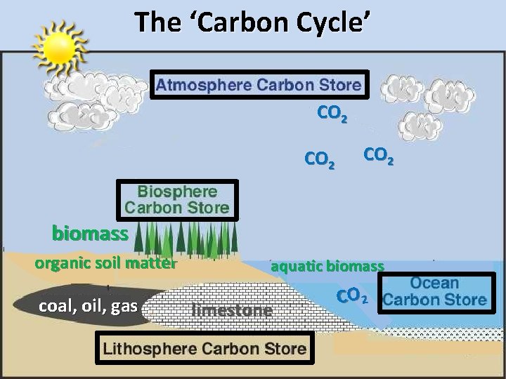 The ‘Carbon Cycle’ CO 2 biomass organic soil matter coal, oil, gas aquatic biomass