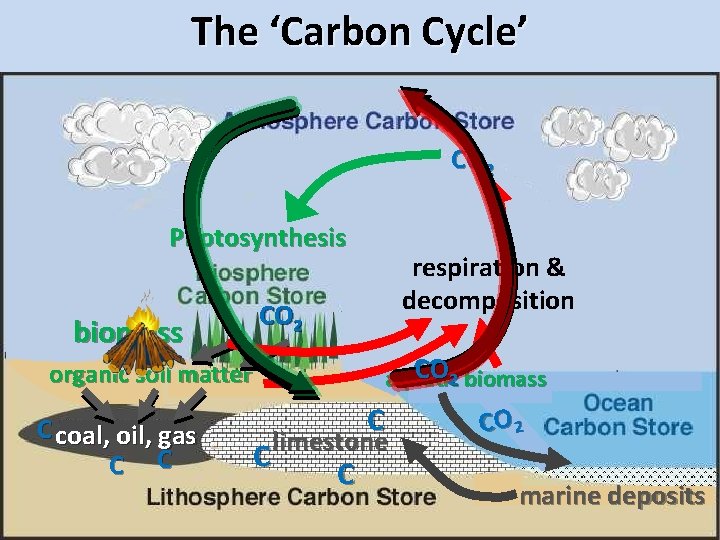 The ‘Carbon Cycle’ CO 2 Photosynthesis biomass CO 2 CO CO 22 biomass aquatic