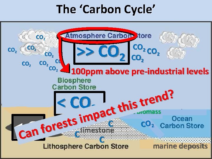 The ‘Carbon Cycle’ CO 2 CO 2 >> CO 2 100 ppm above pre-industrial