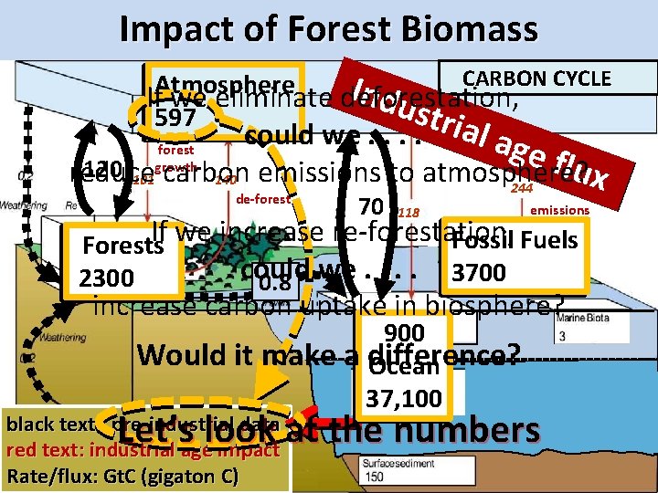 Impact of Forest Biomass CARBON CYCLE Atmosphere p Irned-ui If we eliminate deforestation, nsdtrui