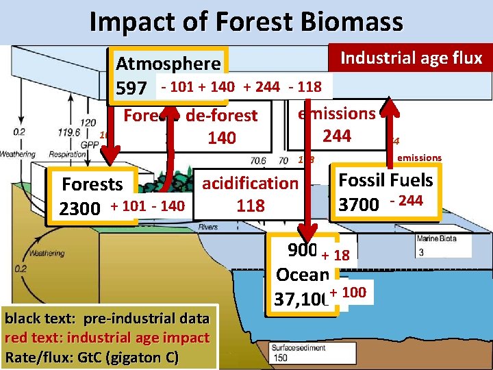 Impact of Forest Biomass Atmosphere 597 - 101 + 140 Industrial age flux CARBON