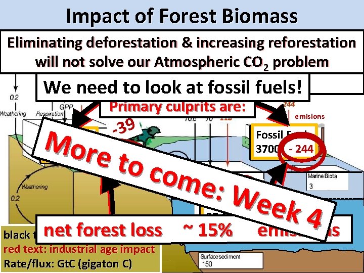 Impact of Forest Biomass 5 net increase 6 Industrial age flux Eliminating deforestation &