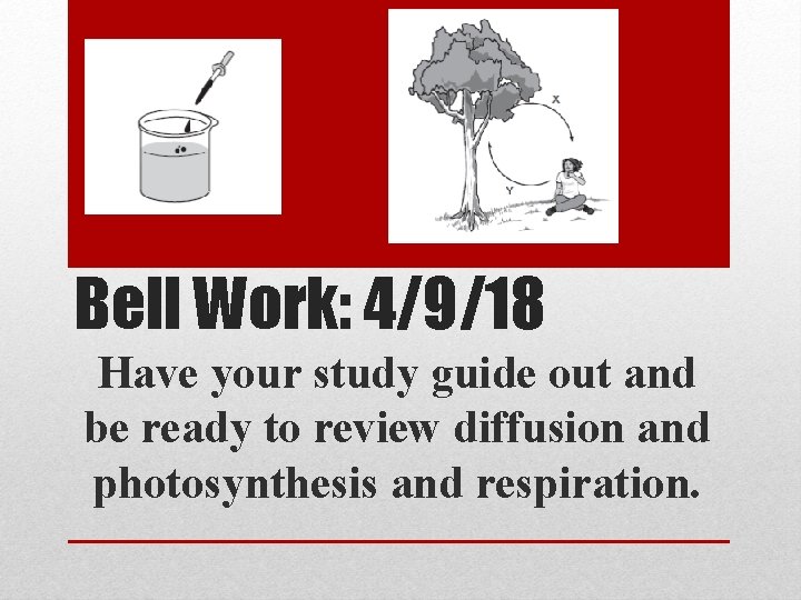 Bell Work 4918 Have your study guide out