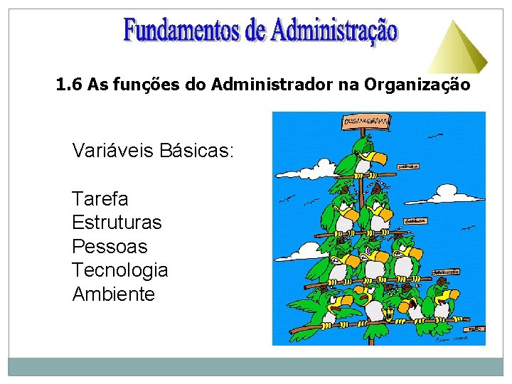 1. 6 As funções do Administrador na Organização Variáveis Básicas: Tarefa Estruturas Pessoas Tecnologia