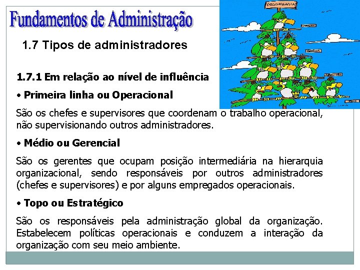 1. 7 Tipos de administradores 1. 7. 1 Em relação ao nível de influência