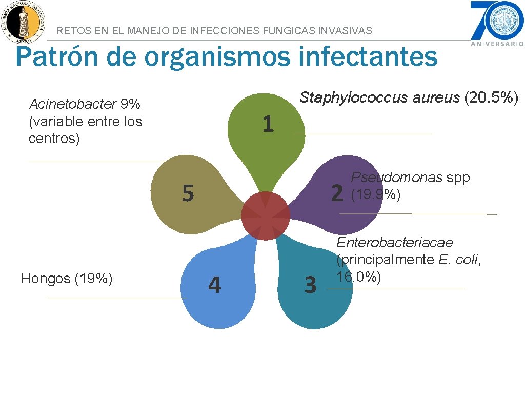 RETOS EN EL MANEJO DE INFECCIONES FUNGICAS INVASIVAS Patrón de organismos infectantes Staphylococcus aureus