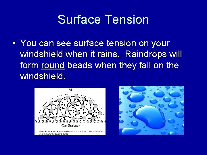 Surface Tension • You can see surface tension on your windshield when it rains.