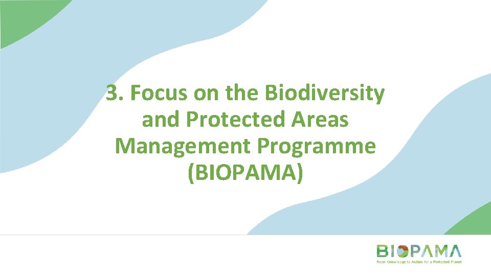 3. Focus on the Biodiversity and Protected Areas Management Programme (BIOPAMA) 