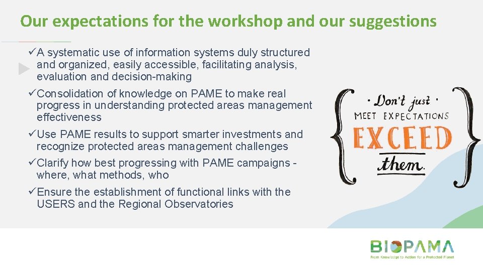 Our expectations for the workshop and our suggestions üA systematic use of information systems