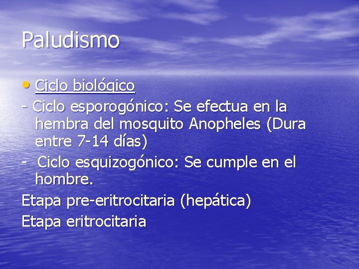 Paludismo • Ciclo biológico - Ciclo esporogónico: Se efectua en la hembra del mosquito