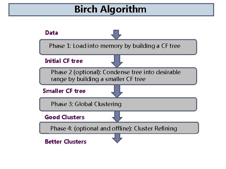 Birch presented by Bahare hajihashemi Atefeh Rahimi advisor