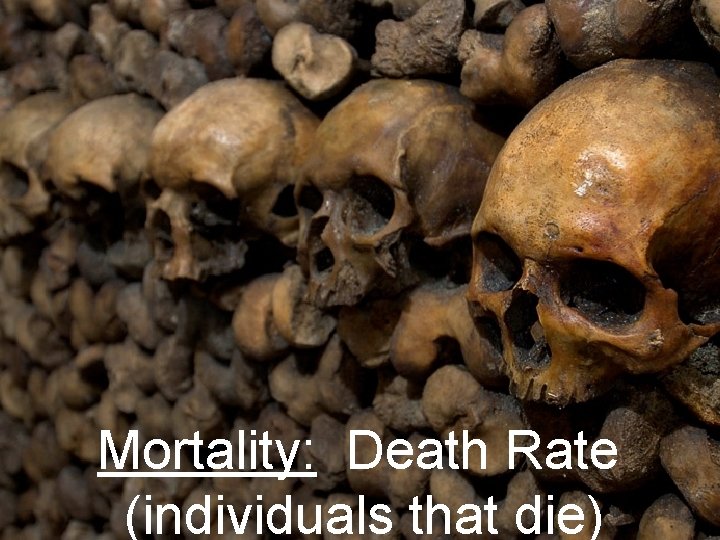 Mortality: Death Rate (individuals that die) 