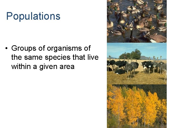 Populations • Groups of organisms of the same species that live within a given