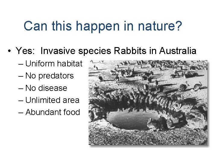 Can this happen in nature? • Yes: Invasive species Rabbits in Australia – Uniform