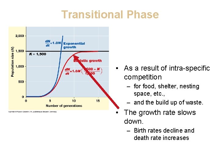 Transitional Phase • As a result of intra-specific competition – for food, shelter, nesting