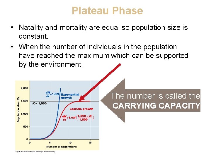 Plateau Phase • Natality and mortality are equal so population size is constant. •