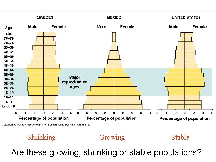 Age structures of three nations Shrinking Growing Stable Are these growing, shrinking or stable