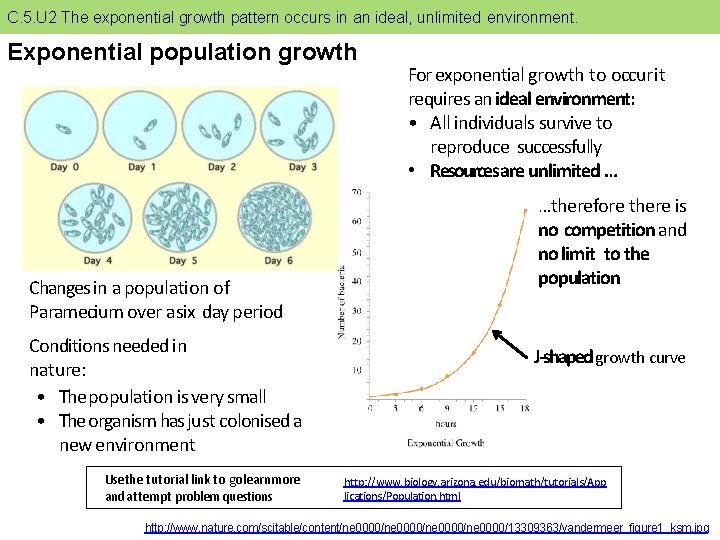 C. 5. U 2 The exponential growth pattern occurs in an ideal, unlimited environment.