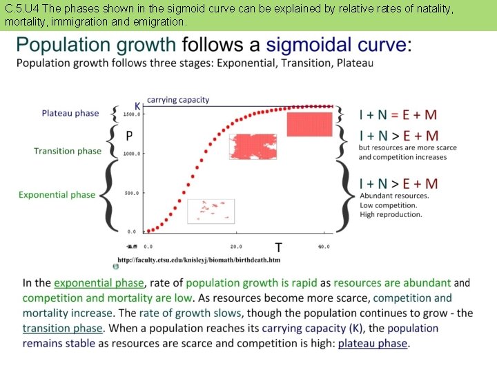 C. 5. U 4 The phases shown in the sigmoid curve can be explained