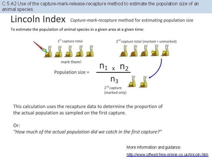 C. 5. A 2 Use of the capture-mark-release-recapture method to estimate the population size