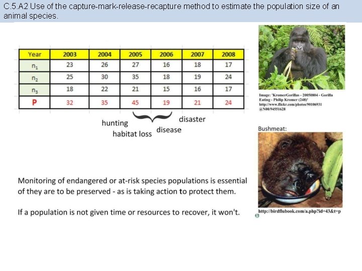 C. 5. A 2 Use of the capture-mark-release-recapture method to estimate the population size