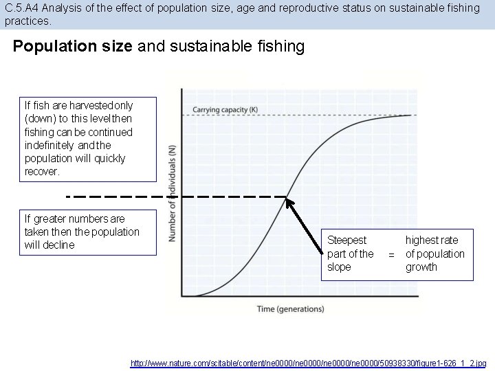 C. 5. A 4 Analysis of the effect of population size, age and reproductive