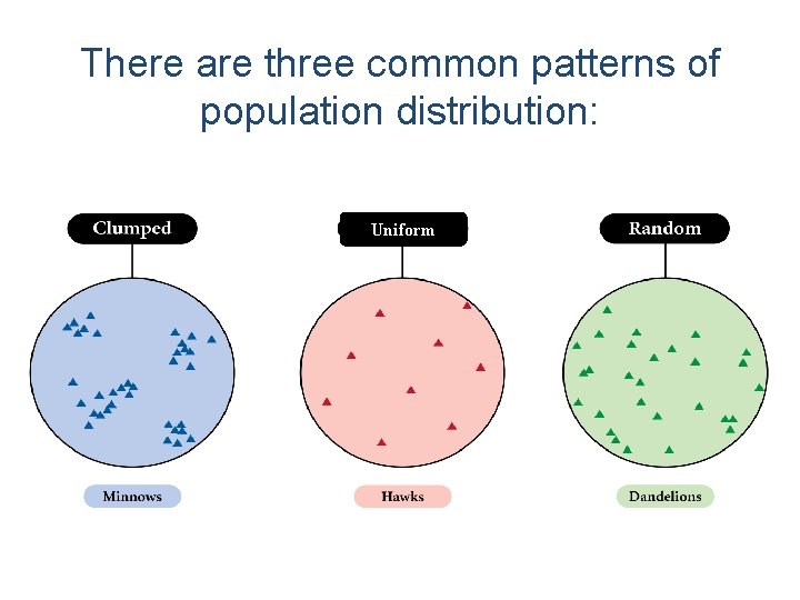 There are three common patterns of population distribution: Uniform 
