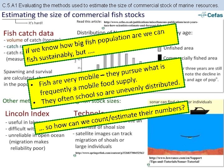 C. 5. A 1 Evaluating the methods used to estimate the size of commercial