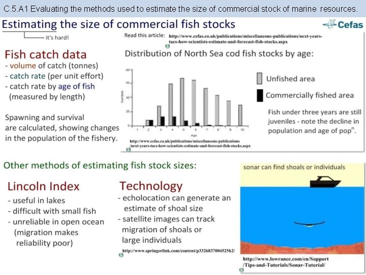 C. 5. A 1 Evaluating the methods used to estimate the size of commercial