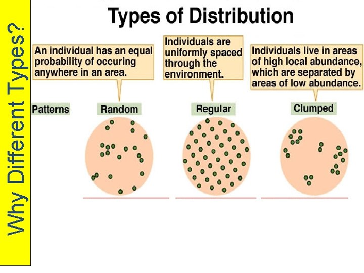 Why Different Types? 