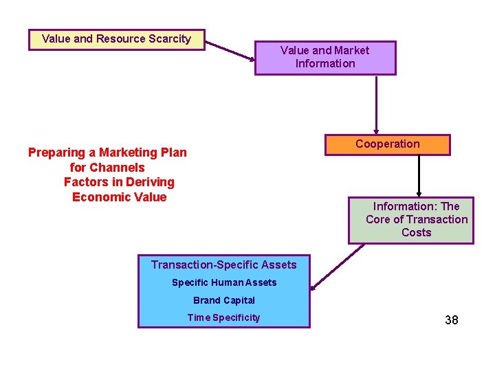Value and Resource Scarcity Value and Market Information Cooperation Preparing a Marketing Plan for