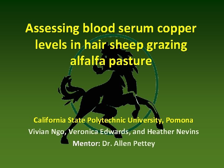Assessing blood serum copper levels in hair sheep grazing alfalfa pasture California State Polytechnic