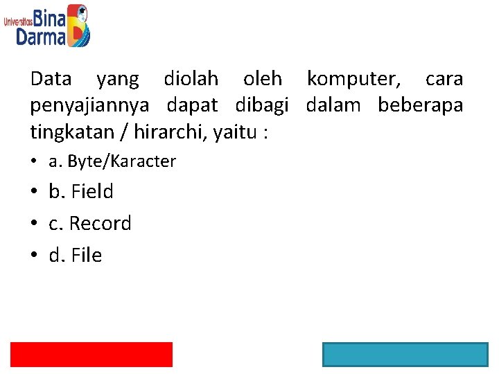 Data yang diolah oleh komputer, cara penyajiannya dapat dibagi dalam beberapa tingkatan / hirarchi,