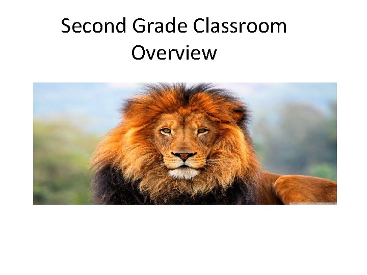 Second Grade Classroom Overview 