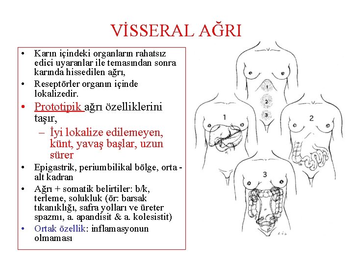 VİSSERAL AĞRI • Karın içindeki organların rahatsız edici uyaranlar ile temasından sonra karında hissedilen