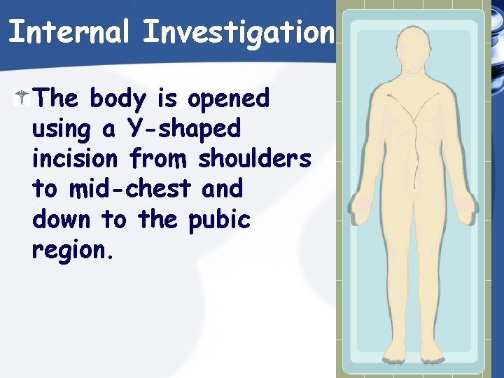 Internal Investigation The body is opened using a Y-shaped incision from shoulders to mid-chest