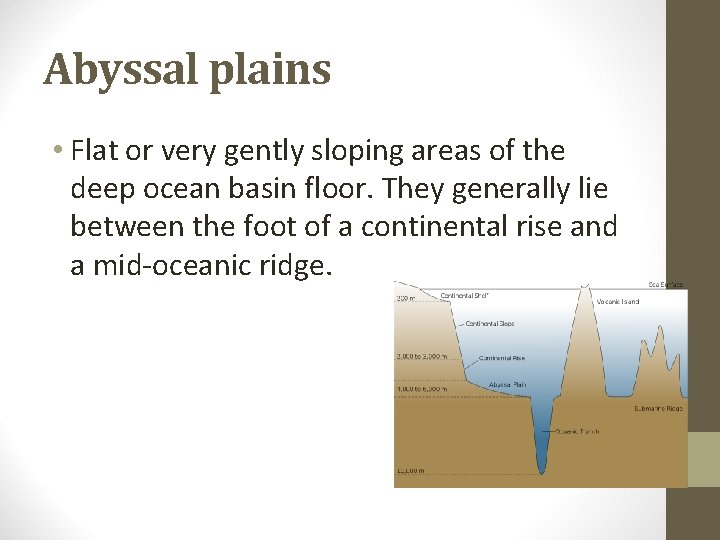 Abyssal plains • Flat or very gently sloping areas of the deep ocean basin