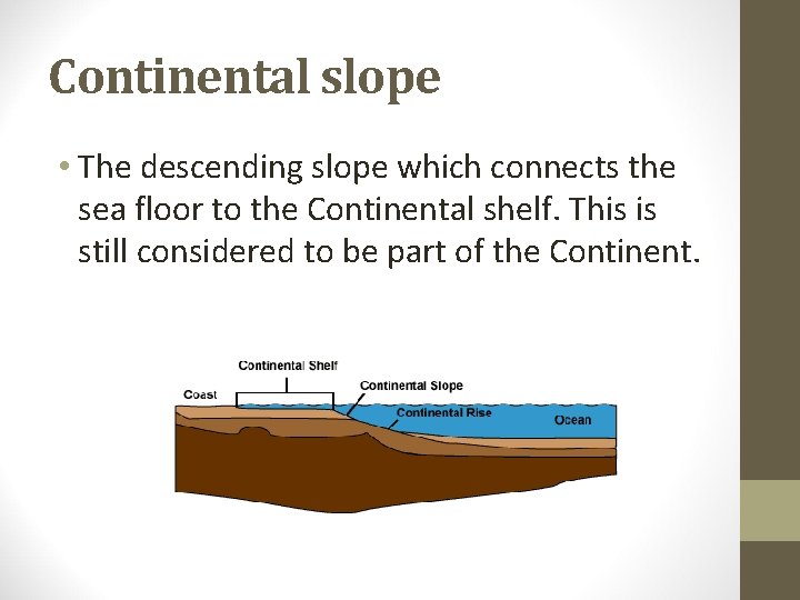 Continental slope • The descending slope which connects the sea floor to the Continental